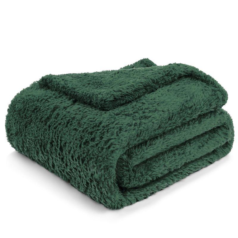 PAVILIA Plush Throw Blanket for Couch Bed, Faux Shearling Blanket and Throw for Sofa Home Decor, Emerald Green/Throw - 50x60