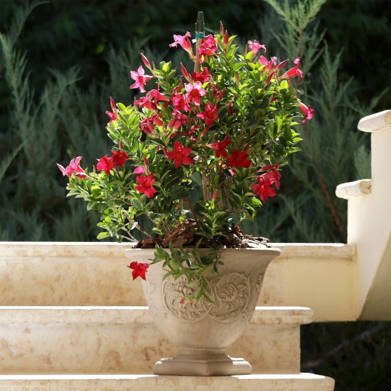 SunnyDaze Decor Darcy 16" x 16" x 13" Round Polyresin Urn Outdoor Planter Pot