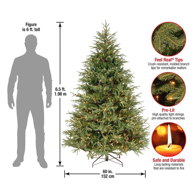 6.5' Prelit Fraser Grande Artificial Christmas Tree Clear Lights - National Tree Company