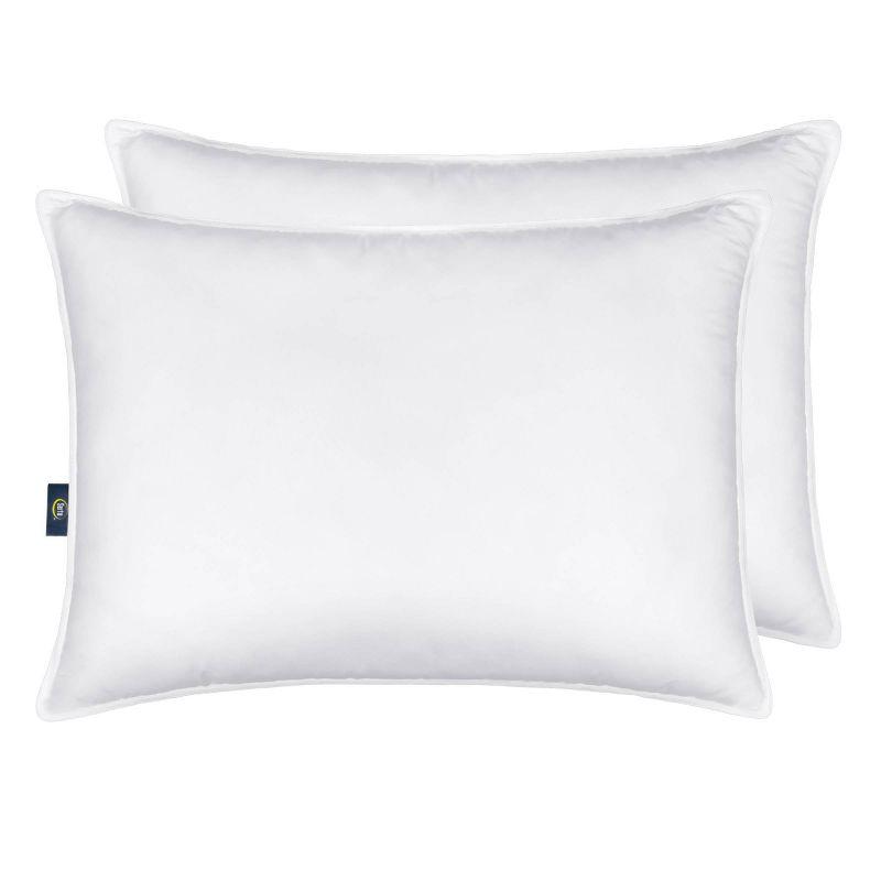 Down Alternative Firm Support Pillow (Set of 2)