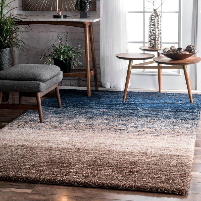 Drey Ombre Shag Area Rug - nuLOOM