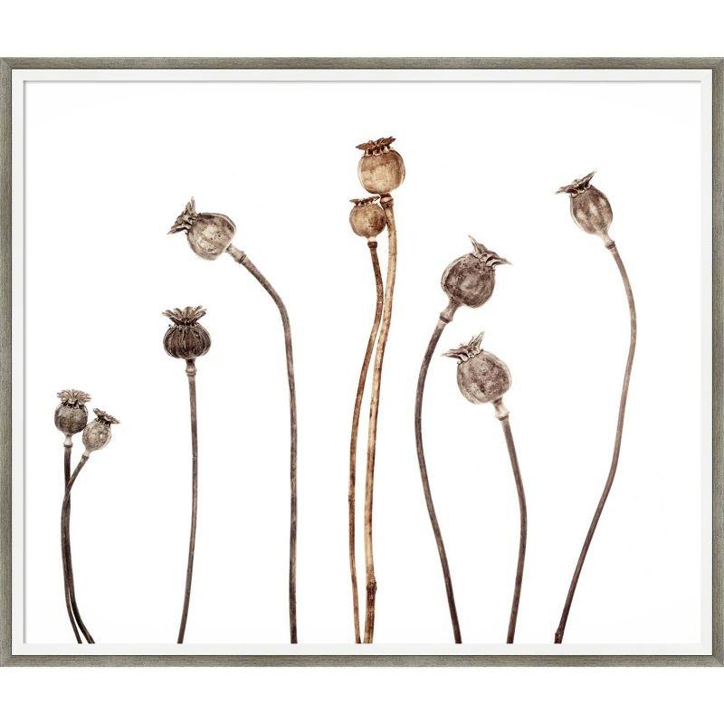 25" x 21" Poppies Botanical Wood Framed Wall Art Print