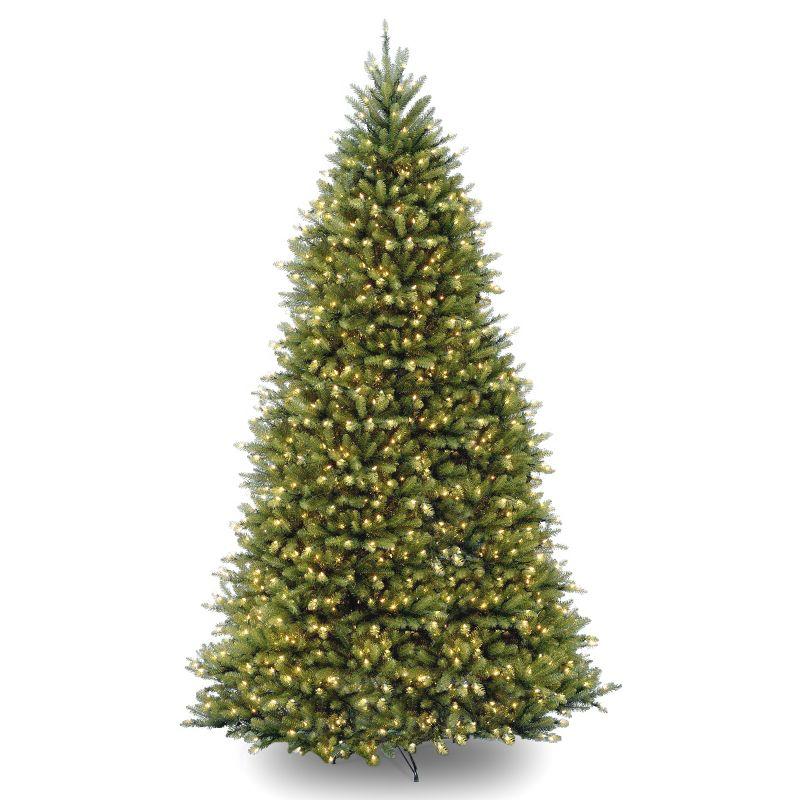 10' Green Dunhill Fir Artificial Christmas Tree with Dual Color LED Lights