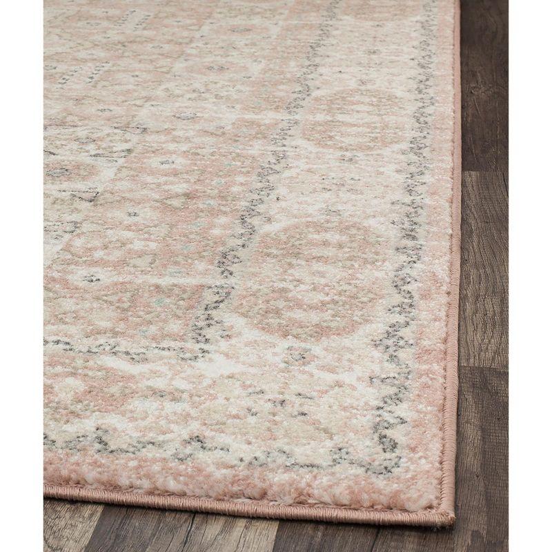 Rugs America Harper Pink Transitional Vintage Area Rug