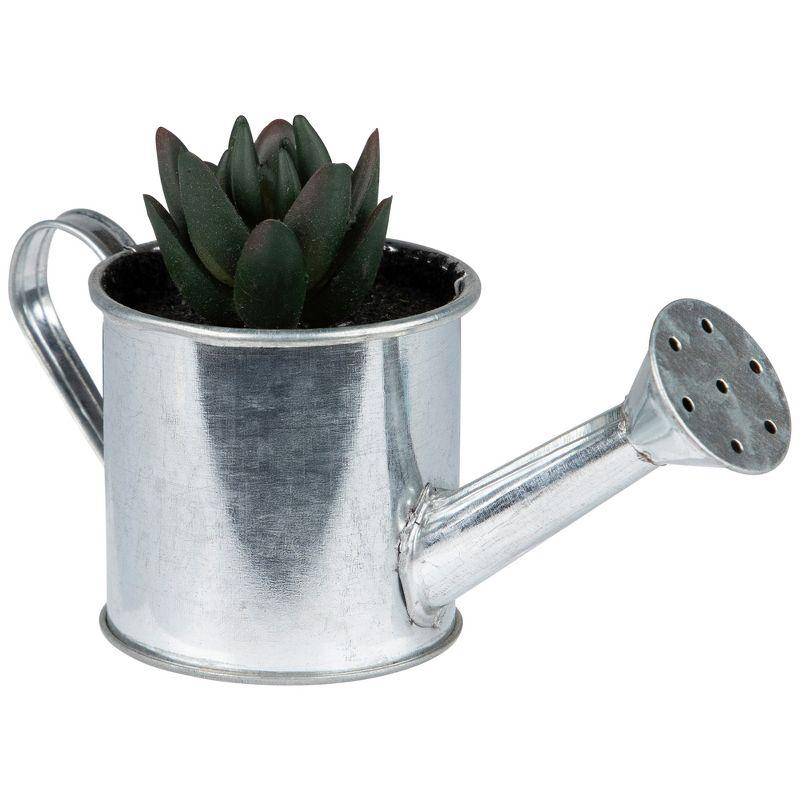 Northlight 4" X Pachyveria Succulent in Water Can Artificial Potted Plant - Green/Silver