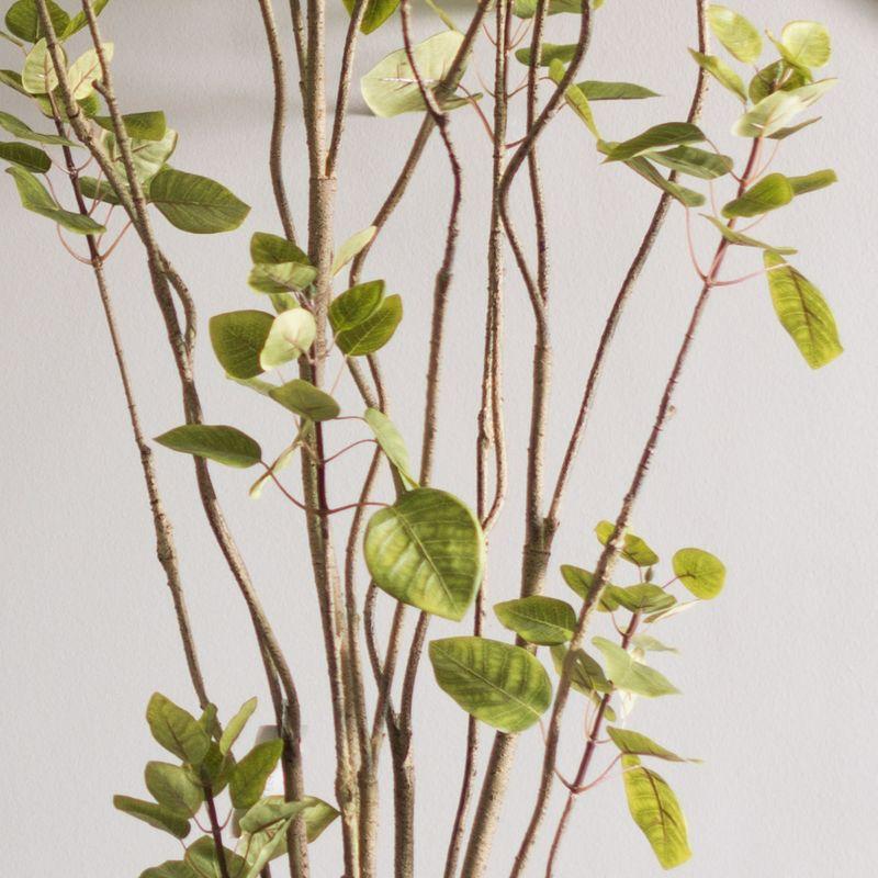 Vickerman 4' Artificial Green Potted Cotinus Coggygria Tree. In a 5"Lx5"Wx5"H base.