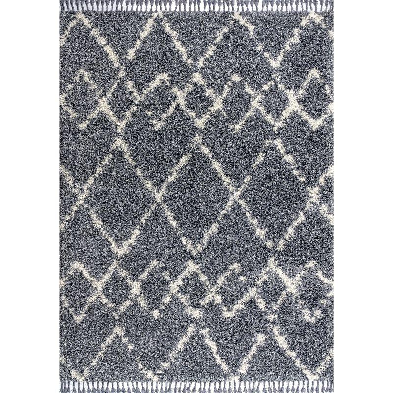 Mercer Shag Plush Tassel Moroccan Geometric Trellis Area Rug - JONATHAN Y