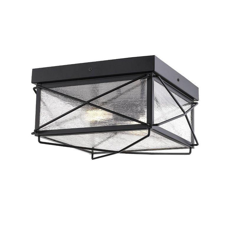 Powder Coat Black Glass 2-Light Outdoor Flush Mount