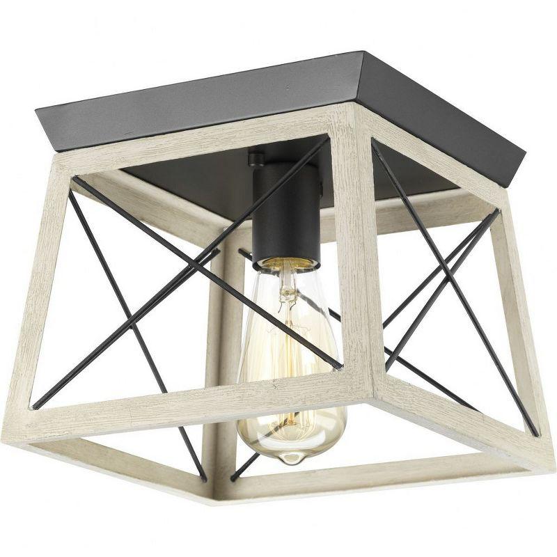 Progress Lighting Briarwood 1-Light Flush Mount, Graphite Finish, Faux-Painted Wood Enclosure