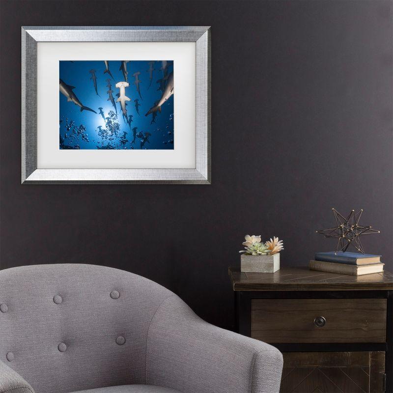 Silver Framed Hammerhead Shark Ocean Canvas Print