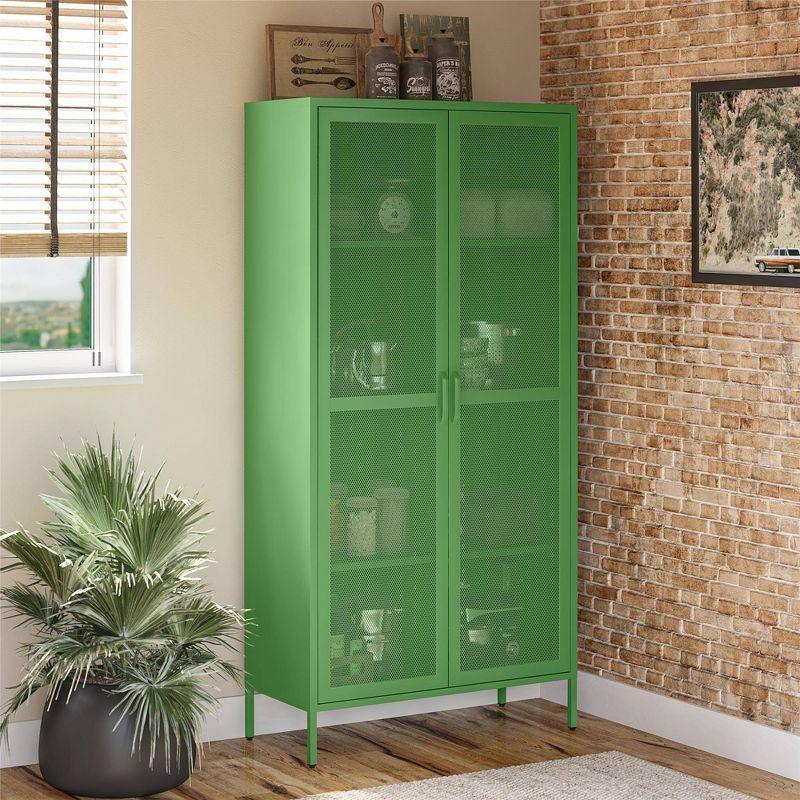 Channing 72.83'' Tall Steel 2 - Door Accent Cabinet