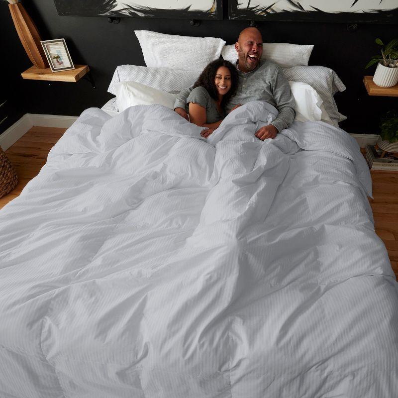 Downlite Oversized 120" x 120" King Down Alternative Comforter & Reviews | Wayfair