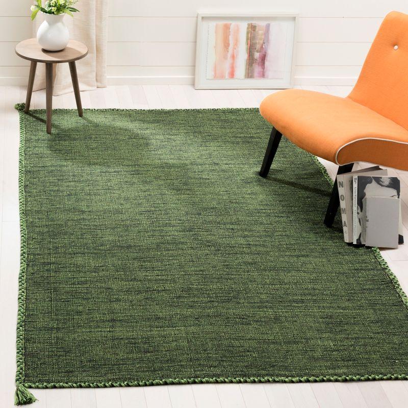 Montauk Green Handwoven Cotton 4' x 6' Area Rug