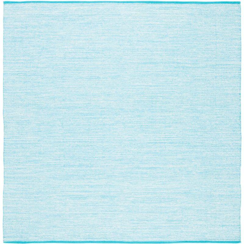 Montauk MTK250 Power Woven Indoor Rug - Safavieh