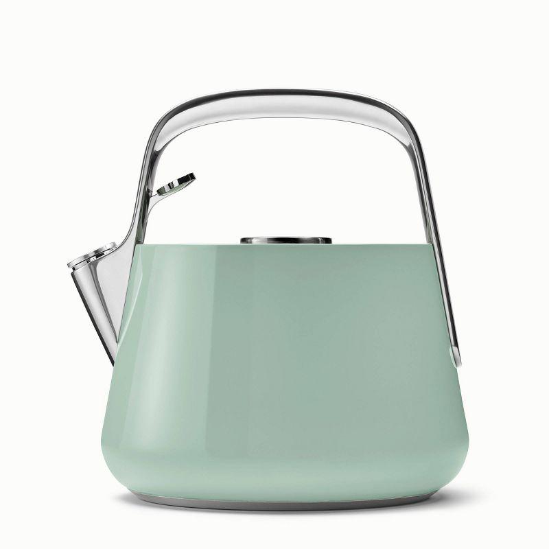 Mint Green Stainless Steel Whistling Tea Kettle