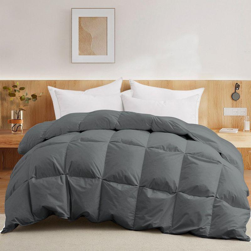 Alwyn Home 600 Fill Power All Seasons Down Comforter