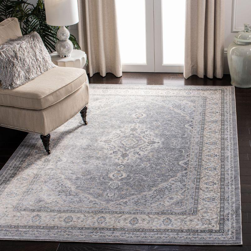 Isabella ISA919 Power Loomed Area Rug - Grey/Cream - 4'x6' - Safavieh