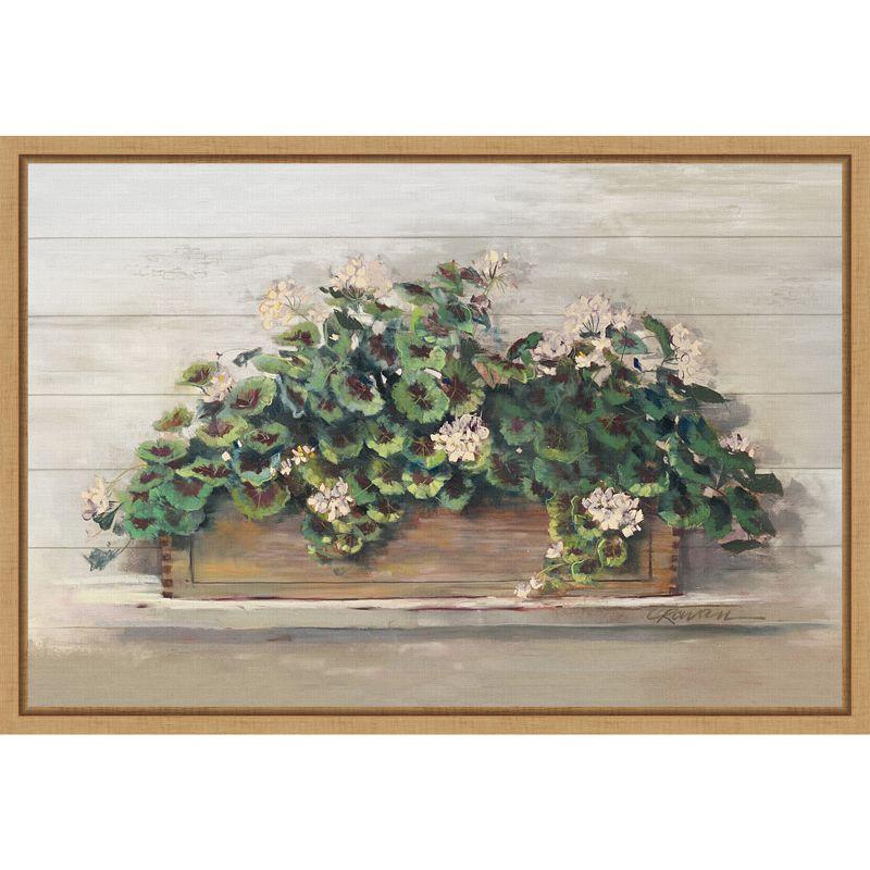 Market Geraniums Pink Blossoms Canvas Wall Art in Maple Frame