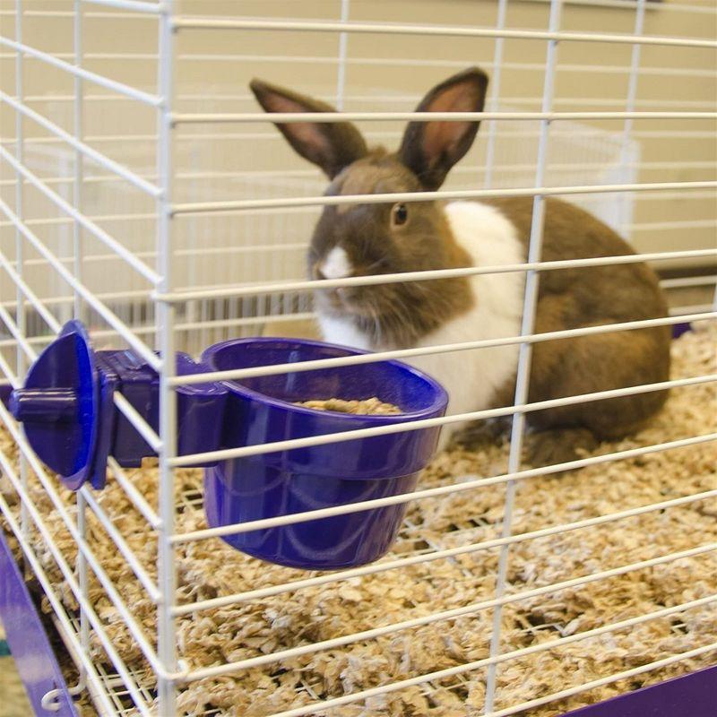 Ware Manufacturing 1.25 Cups Pet Bowl