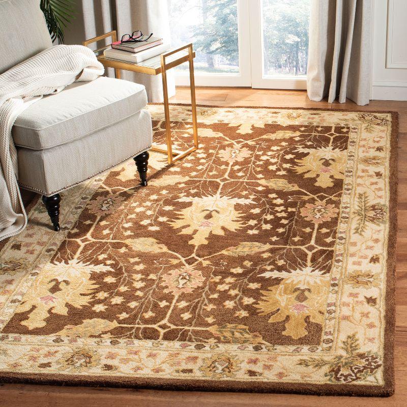 Anatolia AN540 Hand Tufted Area Rug  - Safavieh