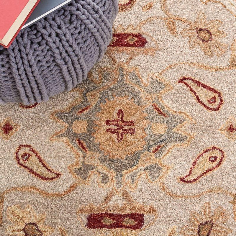 Anatolia AN543 Hand Tufted Area Rug  - Safavieh