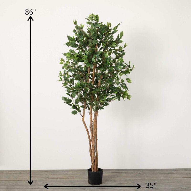 7'2"H Sullivans Oversized Potted Ficus Tree  Green