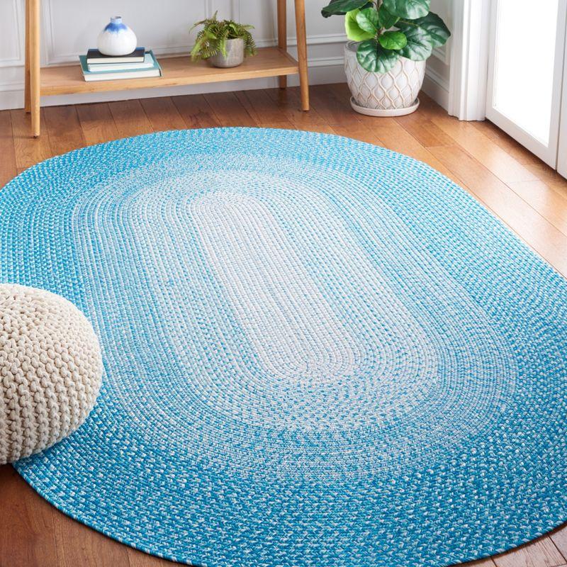 Braided BRA220 Hand Woven Area Rug  - Safavieh