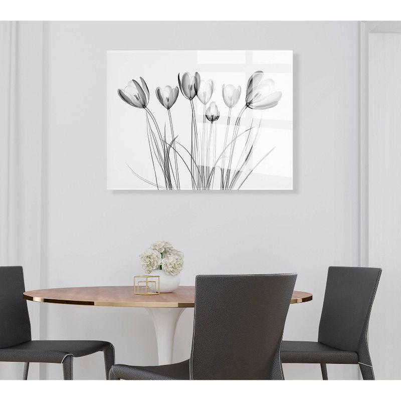 23" x 31" Crocus X Ray Floral by The Creative Bunch Studio Floating Acrylic Art - Kate & Laurel All Things Decor