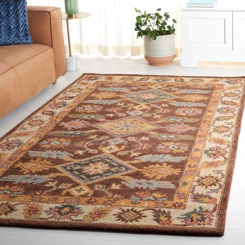 Antiquity AT502 Hand Tufted Area Rug - Dark Brown/Ivory - 6'x9' - Safavieh.