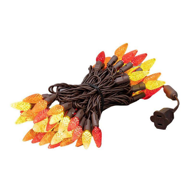 Novelty Lights Yellow/Red/Orange True Twinkle (100% Twinkle) C6 LED Fall Thanksgiving String Lights 70 Strawberry Bulbs (Brown Wire, 24 Feet)