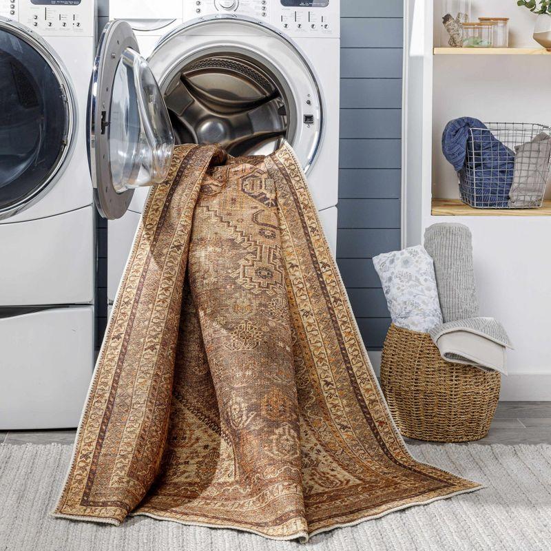 Hauteloom Rectangle Area Rug   Burnt Orange