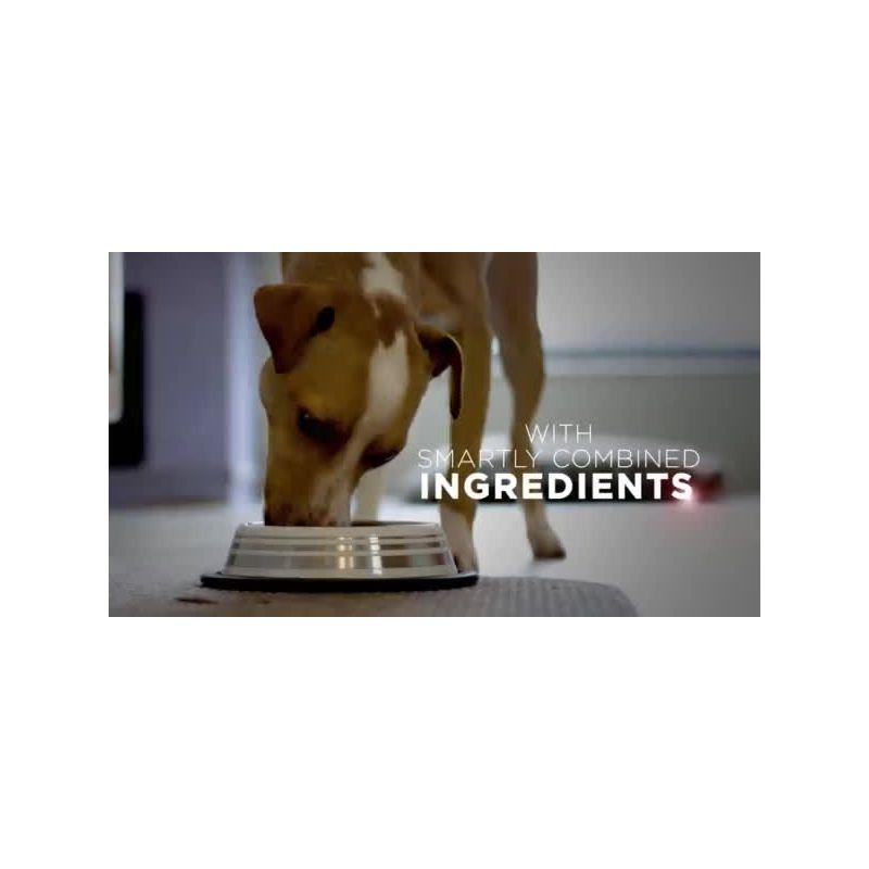 Purina ONE SmartBlend High Protein Healthy Weight Natural Turkey Flavor Dry Dog Food