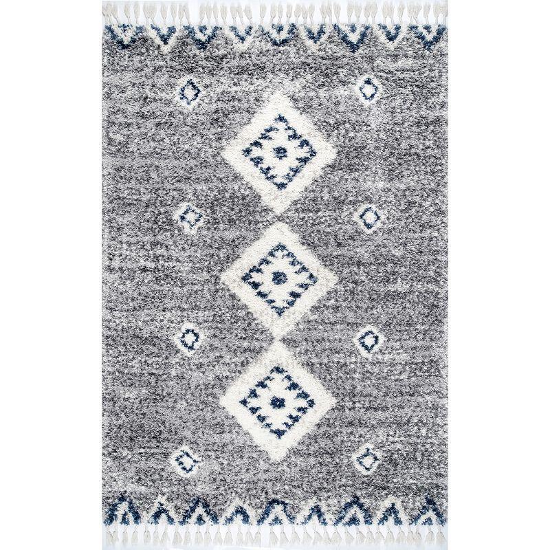 Regina Braided Tassel Edge Gray Shag Area Rug, 7' 10" x 11'