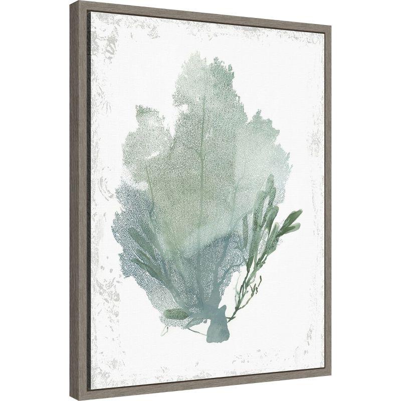 Amanti Art Teal Delicate Coral I by Aimee Wilson Canvas Wall Art Print Framed 18 x 24-in.