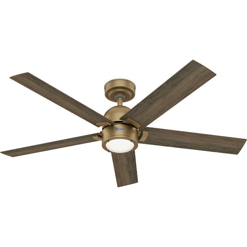 Hunter 52 Inch Erling ENERGY STAR® Ceiling Fan With Lights And Remote