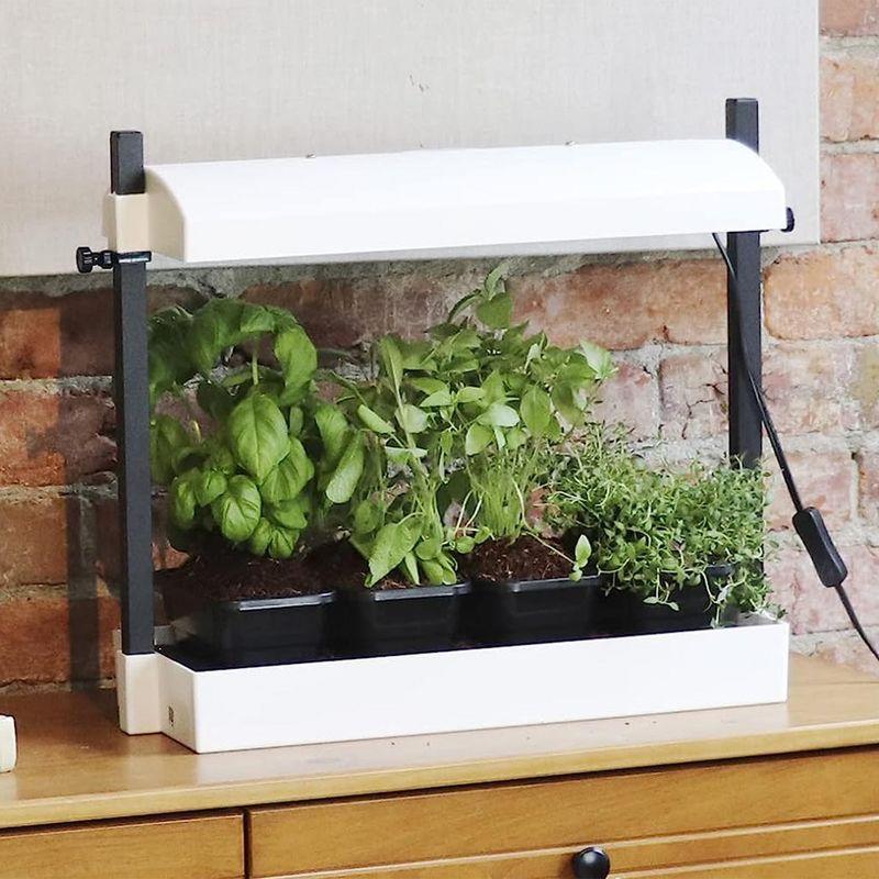 Sunblaster Sunblaster Growing Kit