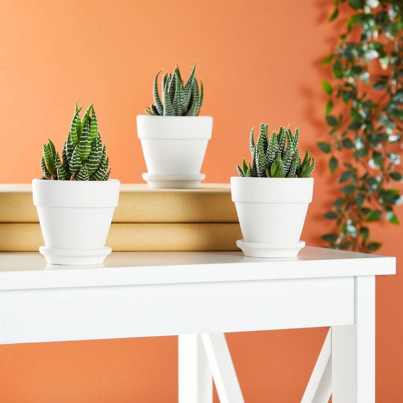 Juvale 12 Pack White Clay Mini Terracotta Pots with Saucers and Drainage Hole, Paintable Pottery for Succulents, Crafts, and Wedding Decor, 3 Inch