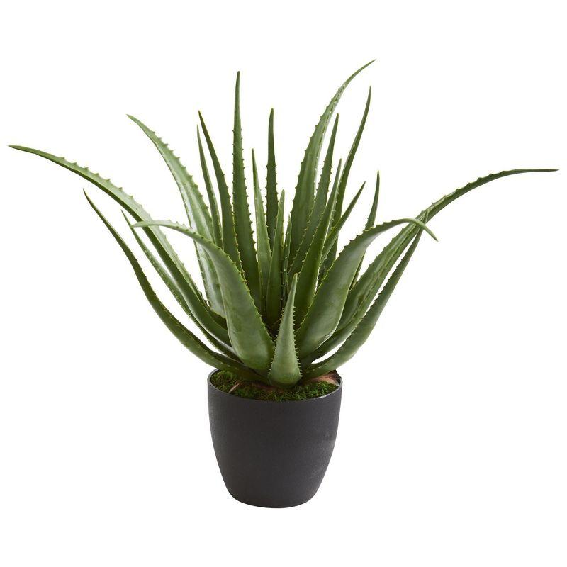 Summer Breeze 25" Dusty Green Plastic Aloe Potted Arrangement