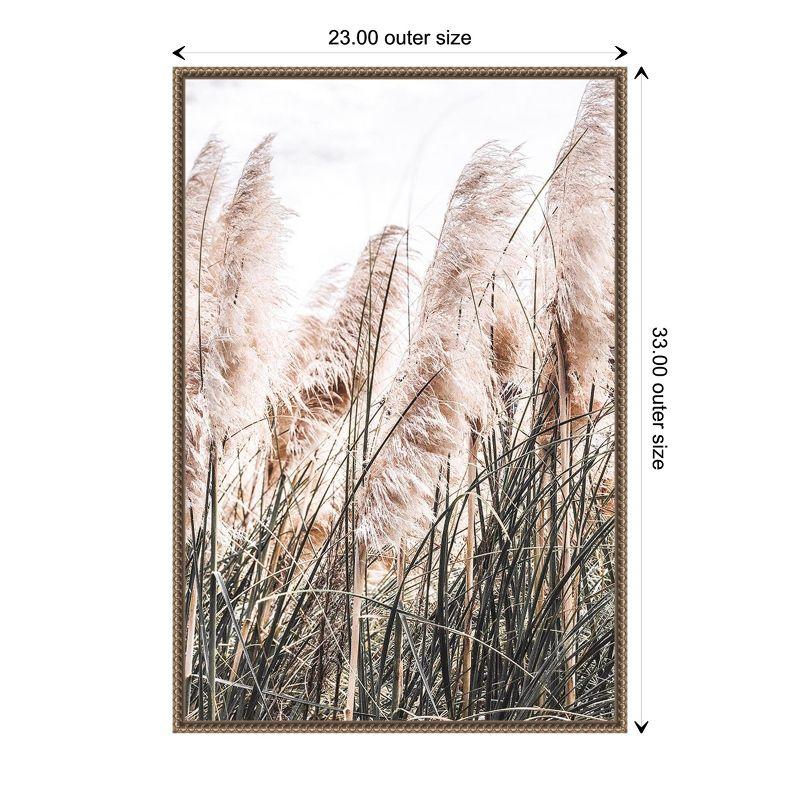 Amanti Art Pampas by Incado Framed Canvas Wall Art