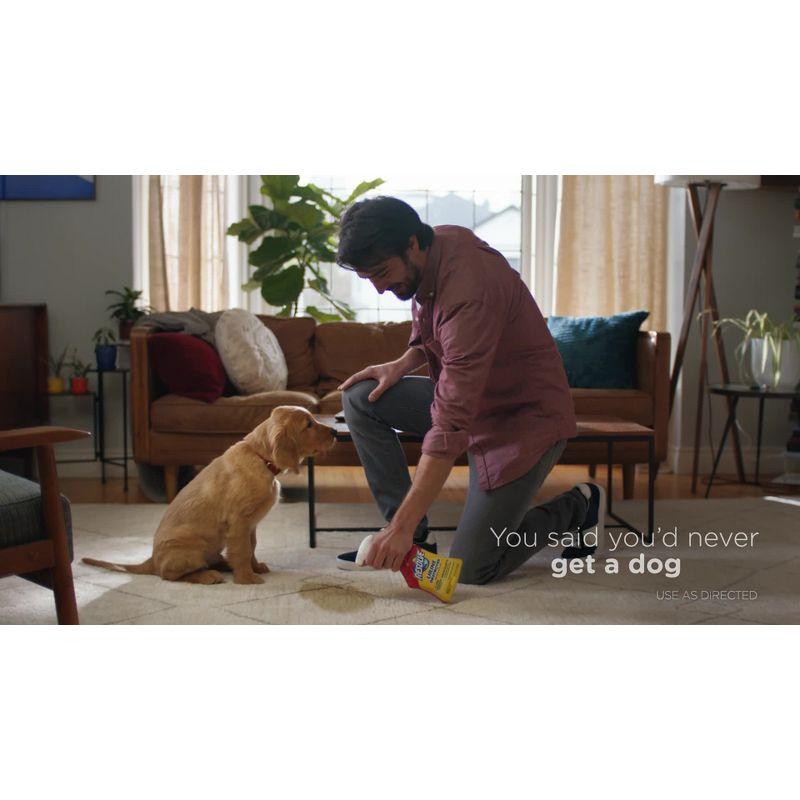 Resolve Pet Stain Remover Spray - 22oz