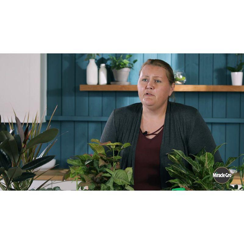 Miracle-Gro 6qt Indoor Potting Mix