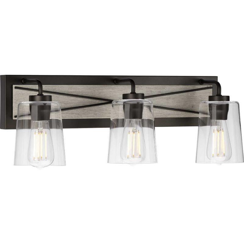 Progress Lighting Briarwood 3-Light Bath Vanity in Graphite with Clear Glass Shades