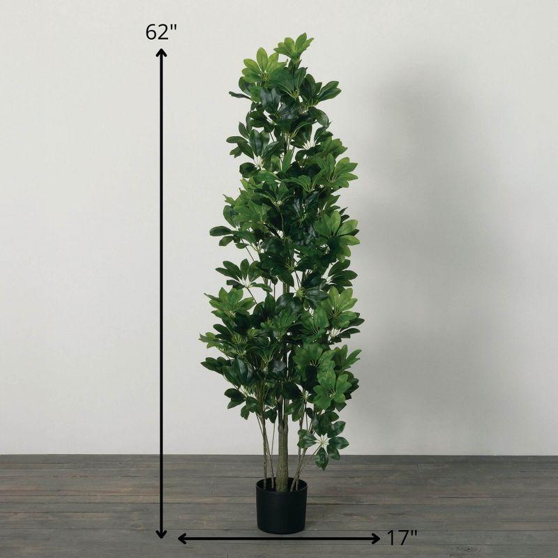 Sullivans Artificial Potted Schefflera Plant 62"H; Green