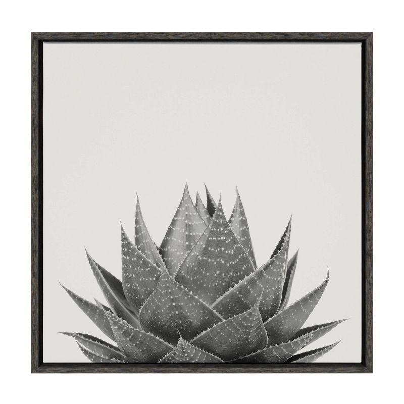 24"x25" Gray Aloe Succulent Framed Canvas Print