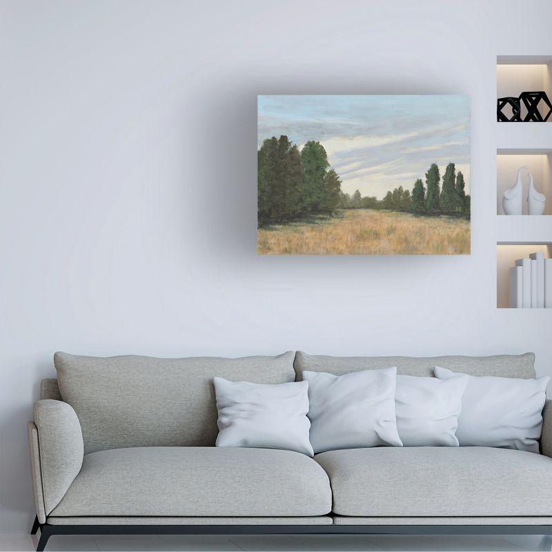 Trademark Fine Art - Michael Willett  Countryside Clearing II Canvas Art