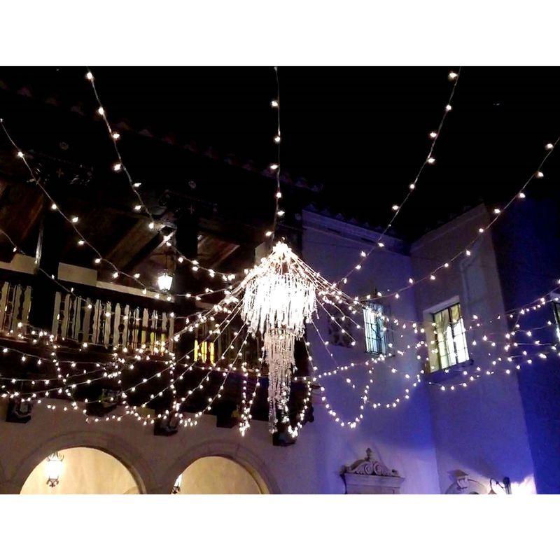 Novelty Lights 11 Feet 50 Bulb Incandescent Mini Lights, Clear with 2.5-Inch Spacing on White Wire, UL Listed for Indoor/Outdoor, Connectable