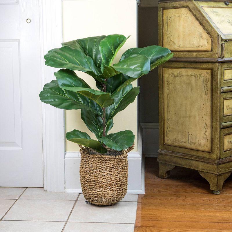 36" x 18" Artificial Fiddle Leaf Fig Plant in Basket - LCG Florals: Faux Fig, Indoor Polyester Decor, Wicker Basket