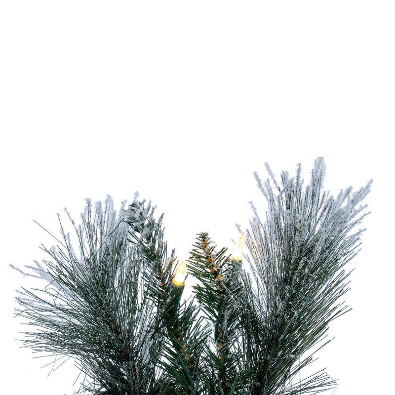 Primrue Faux Lighted Pine 36'' Wreath