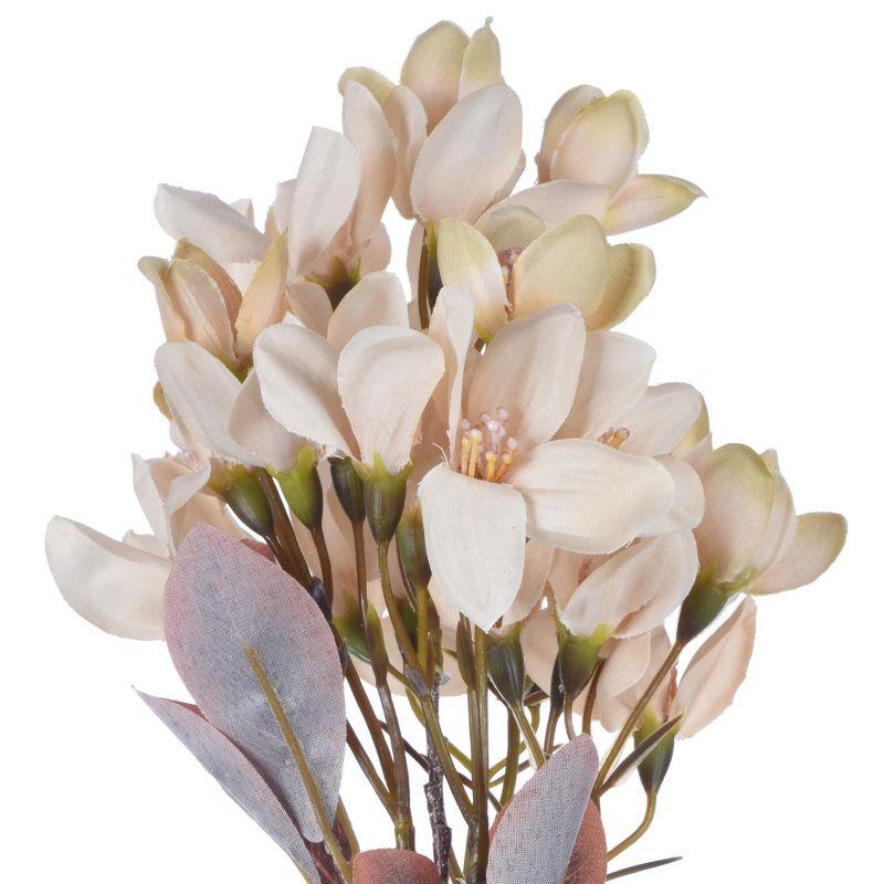 Vickerman 25.5" Cream Artificial Primrose Flower Spray, 3 per bag.