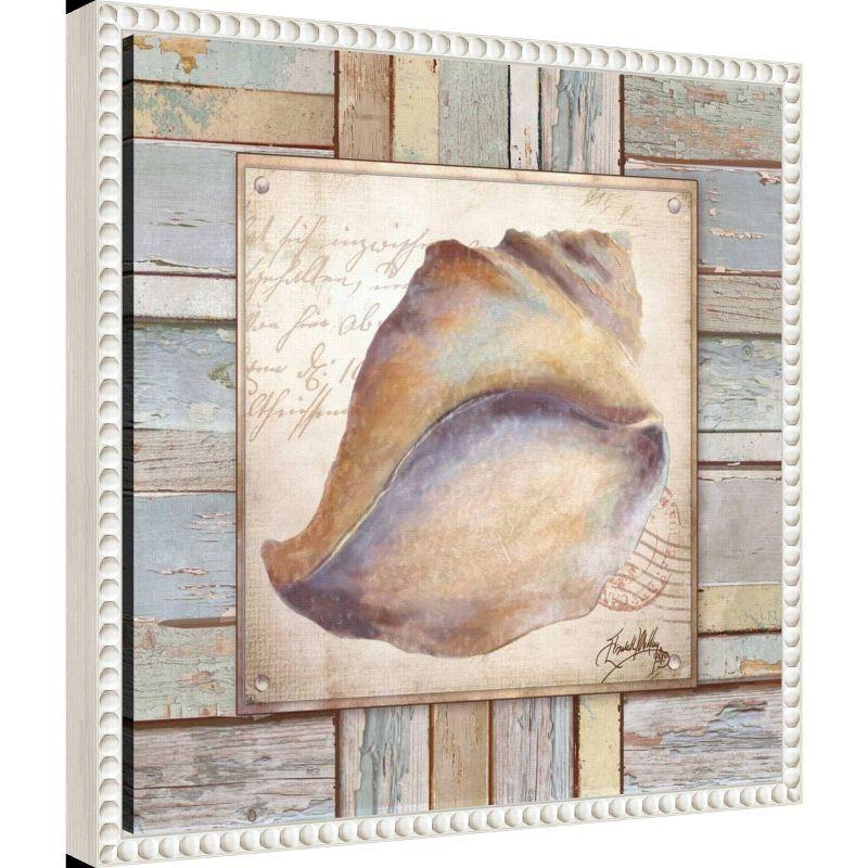 Amanti Art 16"x16" Beach Shell II by Elizabeth Medley: Coastal Decor, Nautical Lithograph, White Frame